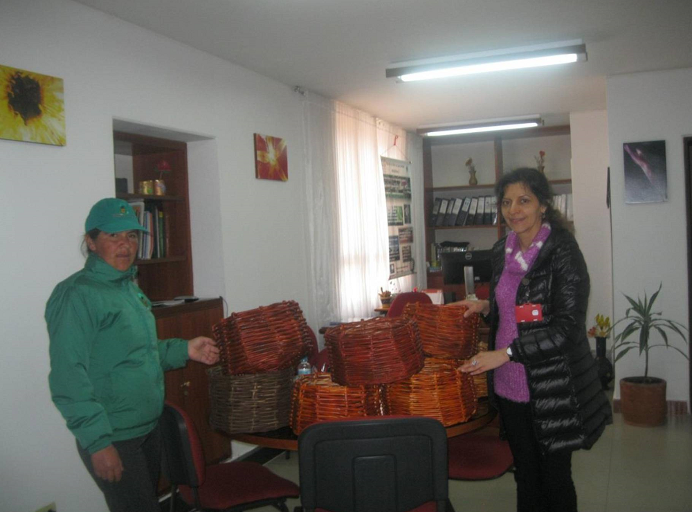 NUEVAS BOLSAS